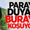 3 çiftçi yüzlerce kişinin kaderini değiştirdi 3 çiftçi yüzlerce kişinin kaderini değiştirdi