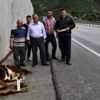 D-100 karayoluna inek düştü!