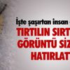 Edremit’te Trafik Kazası: 1 Ölü Edremit’te Trafik Kazası: 1 Ölü