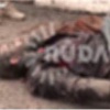 Bağdadi emir verdi! IŞİD saldırıya geçti Bağdadi emir verdi! IŞİD saldırıya geçti