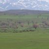 275 ovaya koruma 275 ovaya koruma