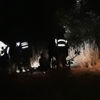 Zeytin toplamaya gittiği bahçede ölü bulundu Zeytin toplamaya gittiği bahçede ölü bulundu
