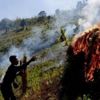 Myanmar Hükümeti, Rohingyalılara ait yakılan arazilerin devralınacağını açıkladı