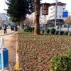 Çiçeklendirme çalışması yapıldı