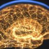 Alzaymır ve parkinson hastalarını heyecanlandıran buluş! Yaşa bağlı unutkanlık tarih mi oluyor? Alzaymır ve parkinson hastalarını heyecanlandıran buluş! Yaşa bağlı unutkanlık tarih mi oluyor?