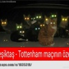 'Kedi lobisi' Olimpiyat Stadı'nda mesai yaptı 'Kedi lobisi' Olimpiyat Stadı'nda mesai yaptı