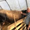 Başkan Yüksel, kurban pazarını ziyaret etti Başkan Yüksel, kurban pazarını ziyaret etti