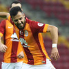 Aslan kupada acımadı!