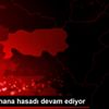 Muş ta lahana hasadı devam ediyor Muş ta lahana hasadı devam ediyor