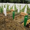 Hollanda Yüksek Mahkemesi ülkesini Srebrenitsa katliamından kısmen sorumlu buldu