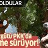 PKK'da çözülme sürüyor! 5 terörist teslim oldu