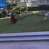 Video: Hepsi Bir Mizansen Mi?