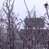 Kars ta dondurucu soğuklar Kars ta dondurucu soğuklar
