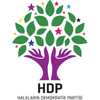 HDP, adaylar için 'tek eşlilik' kriterini ihlal mi etti?
