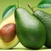Avokado nasıl yetiştirilir? Avokado nasıl yetiştirilir?