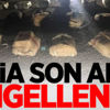 Mardin ve Gaziantep'te yakalandılar!