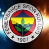 Fenerbahçe'nin lig tarihindeki performansı Fenerbahçe'nin lig tarihindeki performansı