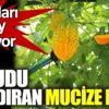 ﻿Vücudu arındıran mucize besin