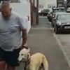 Ayağı kırılınca köpeği de topallamaya başladı Ayağı kırılınca köpeği de topallamaya başladı
