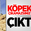 PKK'nın 'Çıkamazsınız' Dediği Yere Gittiler PKK'nın 'Çıkamazsınız' Dediği Yere Gittiler