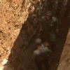 Nusaybin'de teröristlerce kazılan tünel bulundu