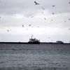 Marmara Denizi'nde poyraz etkisini sürdürüyor Marmara Denizi'nde poyraz etkisini sürdürüyor