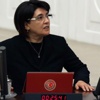 Leyla Zana ve Mehmet Ali Aslan'ın konuşmaları tutanaklara ‘X’ olarak geçti