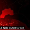 Burdur da 3 ilçede okullara kar tatili
