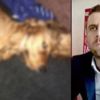 'Komşusunun köpeğini tecavüz ederek, öldürdü' iddiası