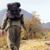 Şırnak'ta 8 PKK'lı teslim oldu