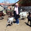 Kuaförlüğü bırakıp, hayvancılığa başladı
