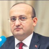 Çözüm için izleme heyeti