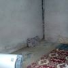 Mevsimlik tarım işçileri Turgutlu da güvende Mevsimlik tarım işçileri Turgutlu da güvende