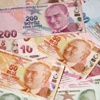 Emekliye 355 lira