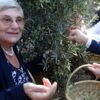 Prof. Dr. Canan Karatay: Suç diyetisyenlerin