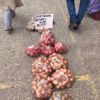 Yaşasın iyi insanlar... Yaşasın iyilik Yaşasın iyi insanlar... Yaşasın iyilik