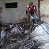 Kablo hırsızlarını jandarma yakaladı Kablo hırsızlarını jandarma yakaladı