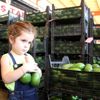 Alanya dan Ukrayna ya 3.5 ton avokado ihracatı Alanya dan Ukrayna ya 3.5 ton avokado ihracatı
