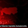 Boyabat ta fidanlar toprakla buluşturuldu