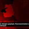 ABD li bilim dergisi paylaştı: Koronavirüsten en çok ... ABD li bilim dergisi paylaştı: Koronavirüsten en çok ...