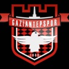 Gaziantepspor Adanaspor'u bekliyor