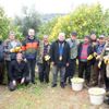 Talep arttı, limon dalında 4 liraya yükseldi Talep arttı, limon dalında 4 liraya yükseldi