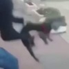 İsrailli gençten yavru köpeğe işkence İsrailli gençten yavru köpeğe işkence