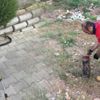 Hastanedeki yılan paniğine itfaiye son verdi