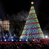 Beyaz Saray Noel için hazır