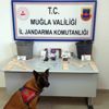 Zehir tacirlerine şok baskın Zehir tacirlerine şok baskın
