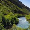 ﻿Tunceli'de ormanlara giriş yasaklandı