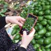 Herkese örnek olacak başarı hikayesi! İşini bırakarak 5 yıl içinde kendi işinin patronu oldu