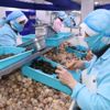 Bilecik'te salyangozun dolmasını yaptılar. Ton ton ihraç ediyorlar. Porsiyonu 80 Euro Bilecik'te salyangozun dolmasını yaptılar. Ton ton ihraç ediyorlar. Porsiyonu 80 Euro