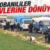 Türkiye'ye sığınan binlerce kişi Kobani'ye dönüyor Türkiye'ye sığınan binlerce kişi Kobani'ye dönüyor